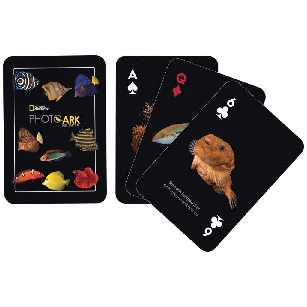 Image of the back of the deck of cards. On it are 9 pictures of different fish. Some examples include orange fish, blue fish, brown fish, and patterned fish.