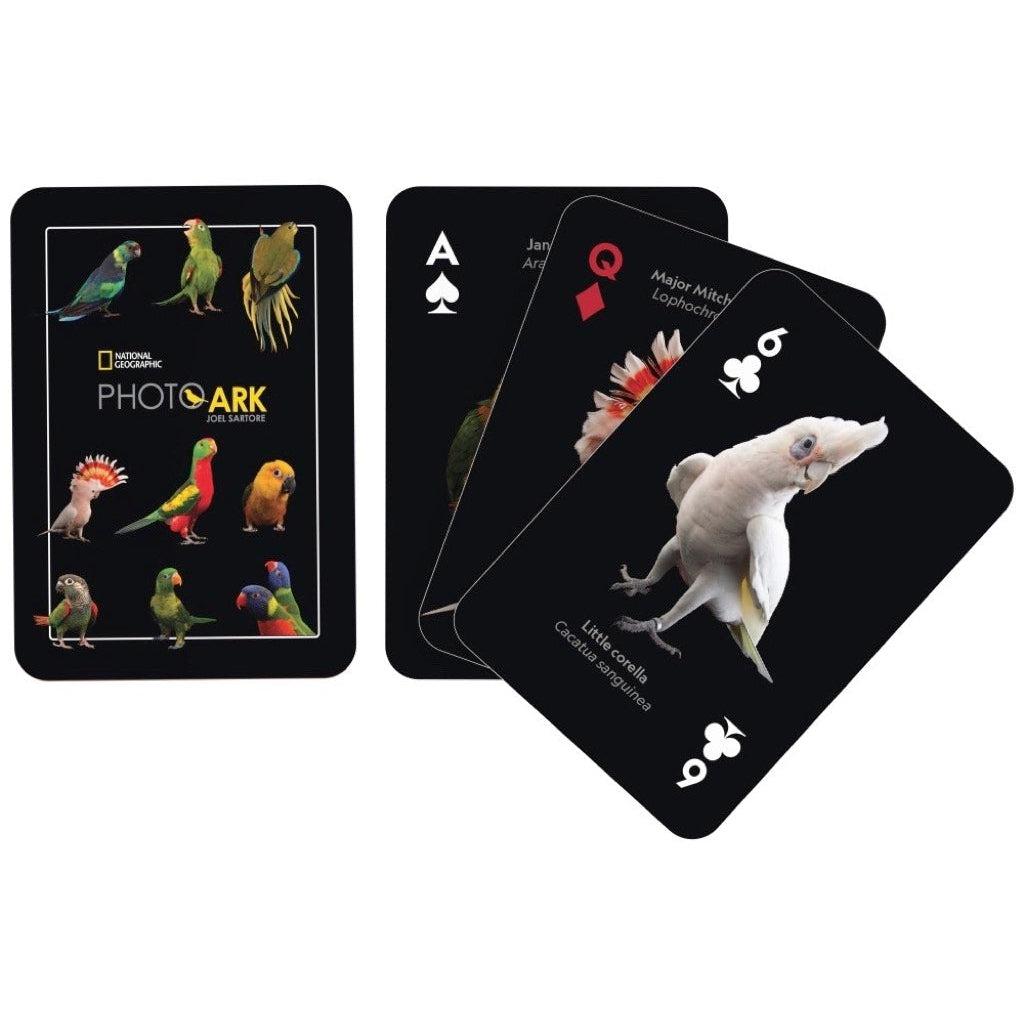 Image of the back of the deck of cards. On it are 9 pictures of different parrots. Some examples include green parrots, yellow parrots, red parrots, and multicolored parrots.