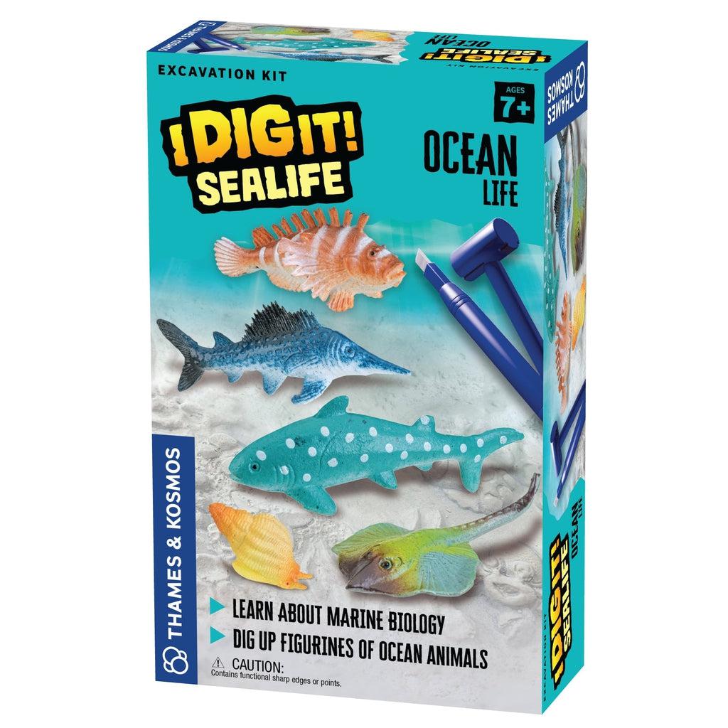 Toy in packaging | Front of box has images of included tools and plastic marine life figures.