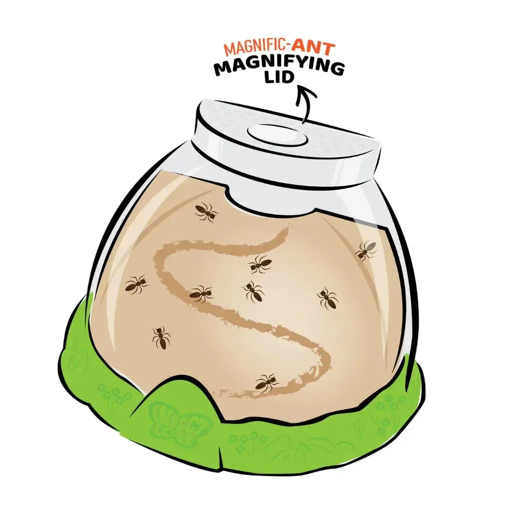 illustration of ant farm with magnification lid