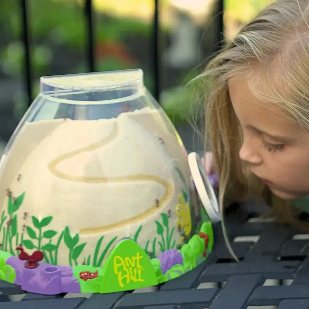 little girl using a magnifying glass to look at an ant hill