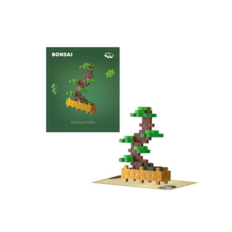 bonsai trees plus Balanced Bonsai