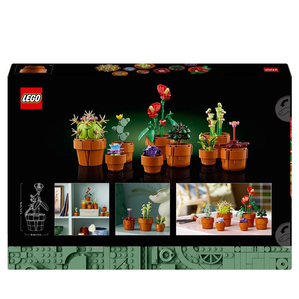 the back of the box shows the dimsensios of the potted plants, they are 10 centimeters wide