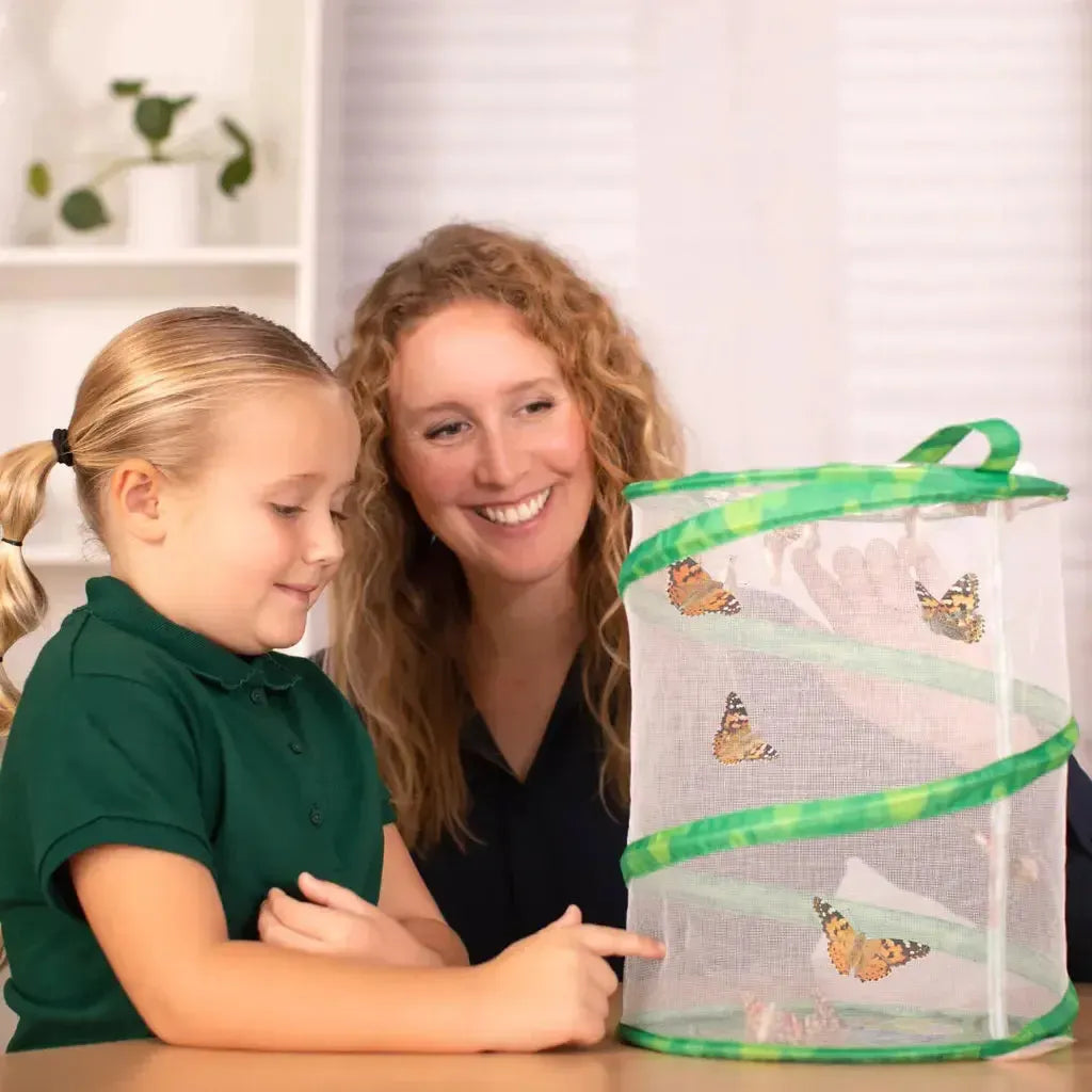 An adult and a child enjoy family fun as they observe butterflies inside a Butterfly Garden mesh enclosure on a table indoors.