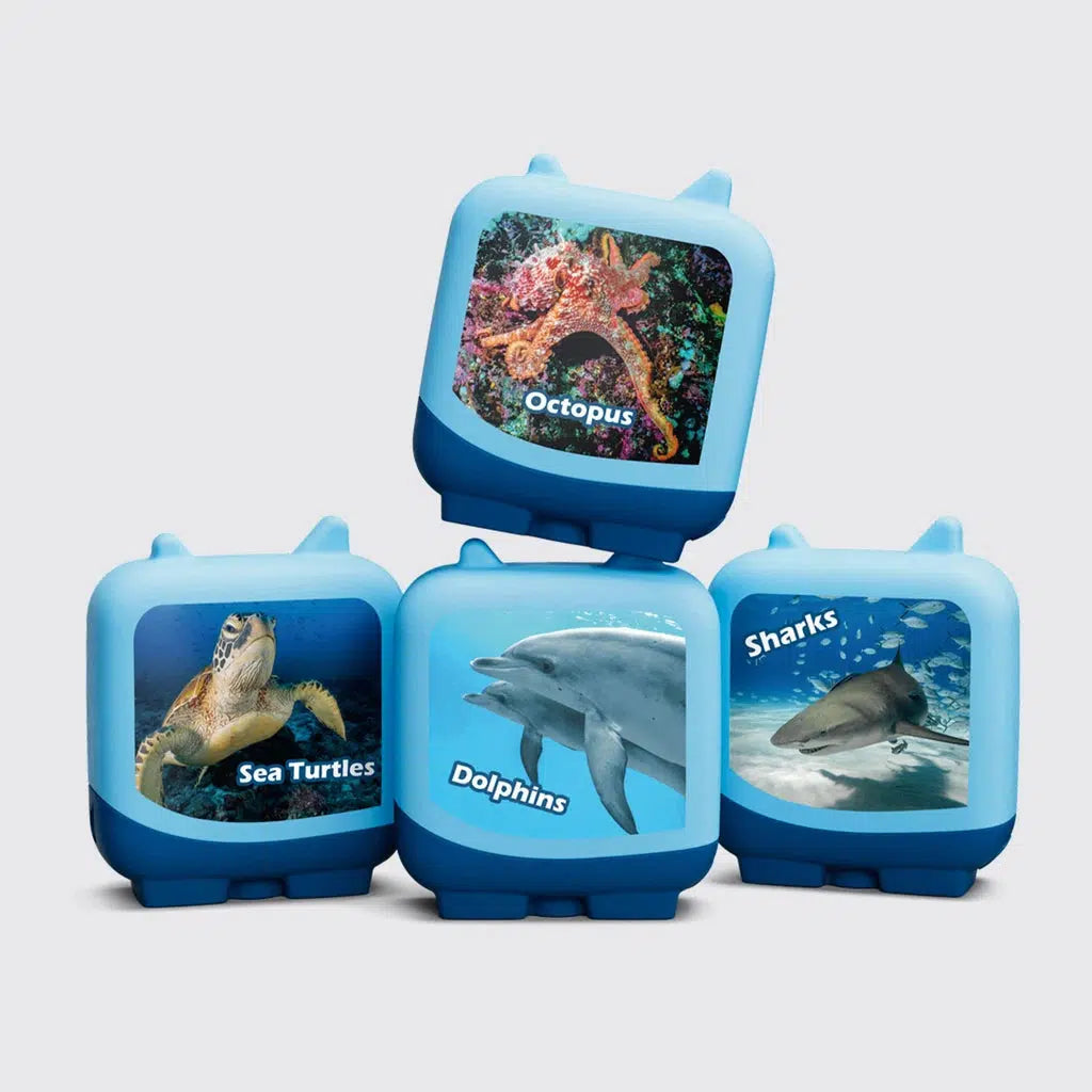 all 4 included clever tonies are shown, in addition to the shark one there is "dolphins", "octopus", and "Sea turtles". Each has a picture of the respective animal