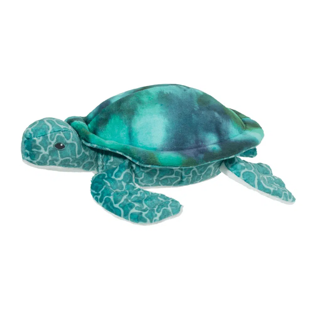 this image shows a teal green sea turle. the shell looks soft and fuzzy