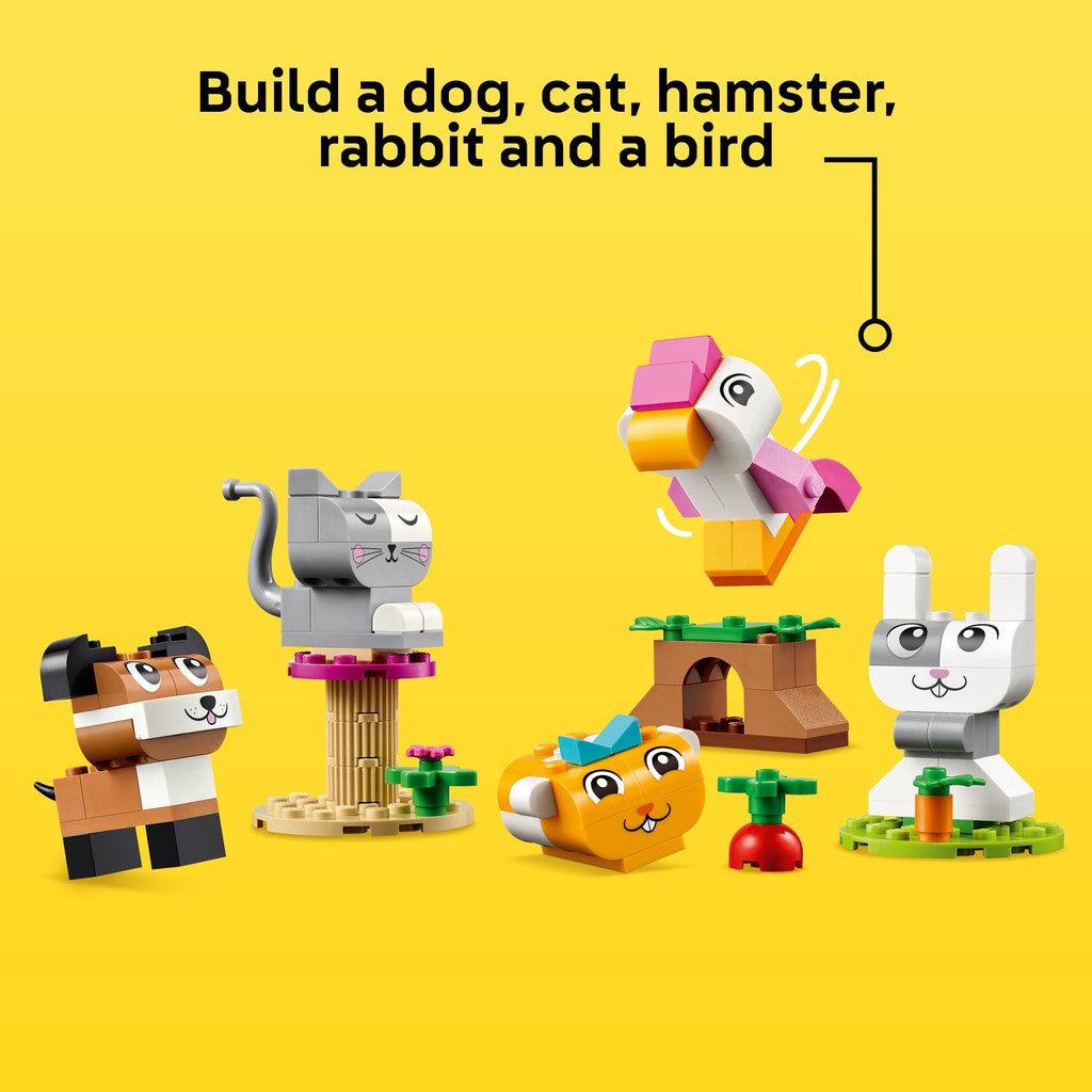 build a dog, cat, hamster, rabbit and a bird