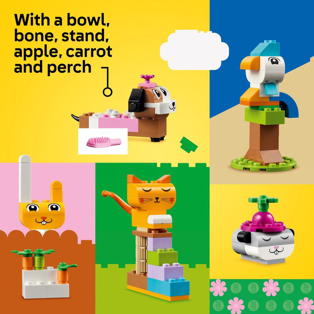 with a bowl, bone, stand, apple, carrot and perch
