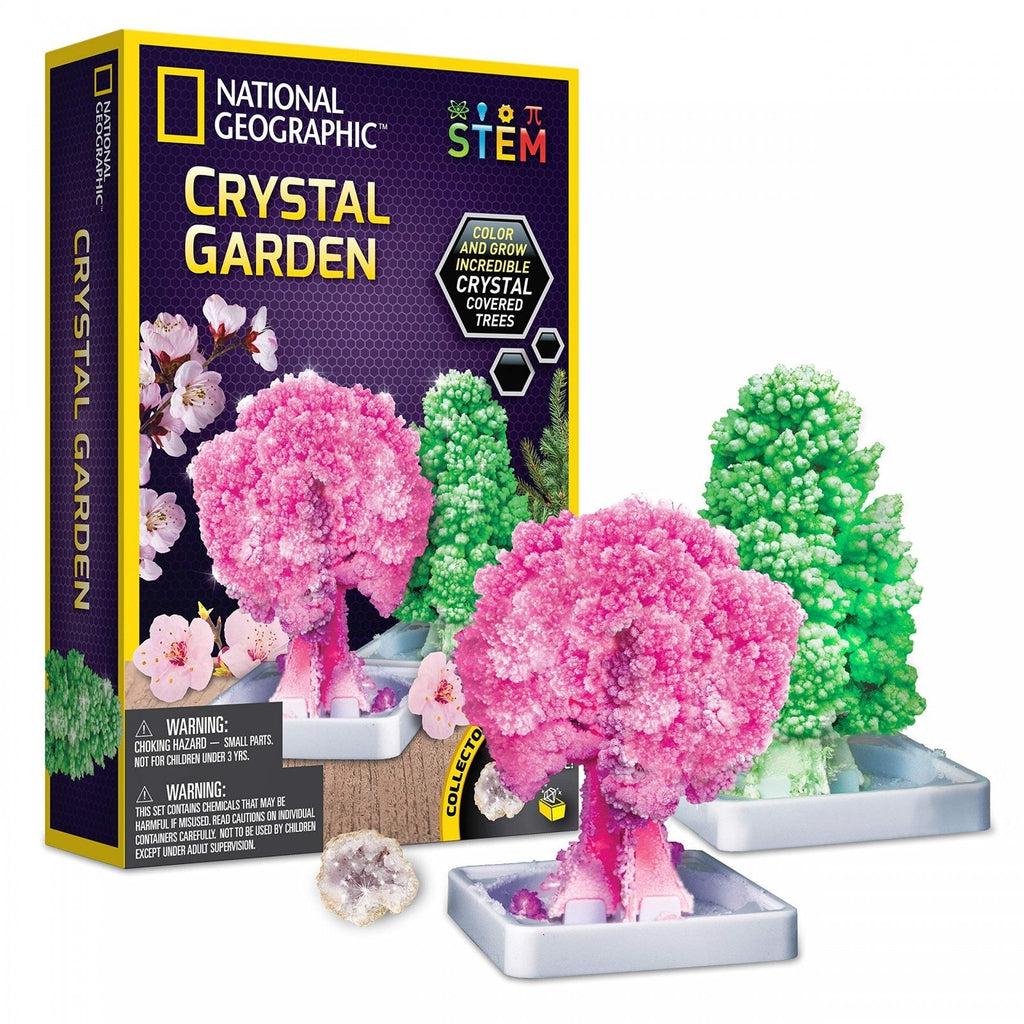 The national geographic crystal garden. the image shows a pink and green tree made of crystals that you can grow. 