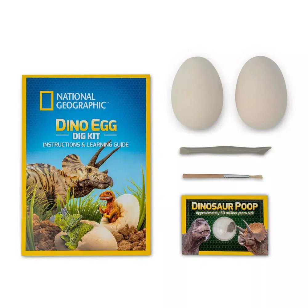pictire of the two eggs, a dig tool, brush, poop, and the learning guide from national geographic 