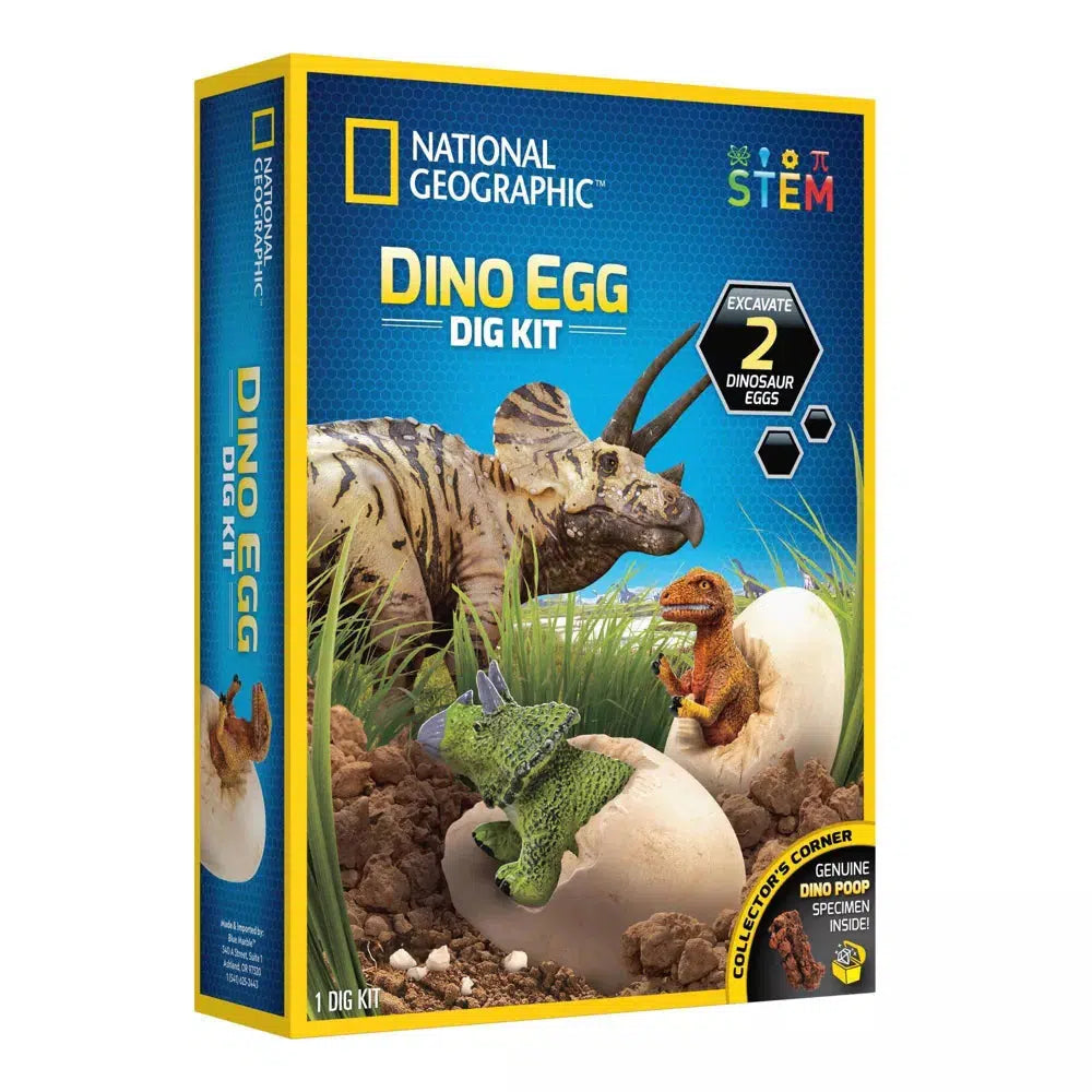 image shows the dino egg kit, where you can exabate 2 donosaur eggs, included in the box is genuine dinosaur poop as well!
