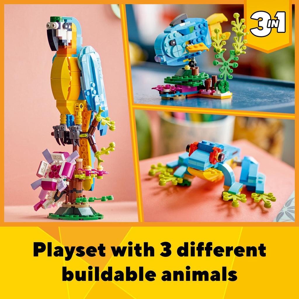 Images of all three of the animal builds. You can build a parrot, an exotic fish, and a tree frog.