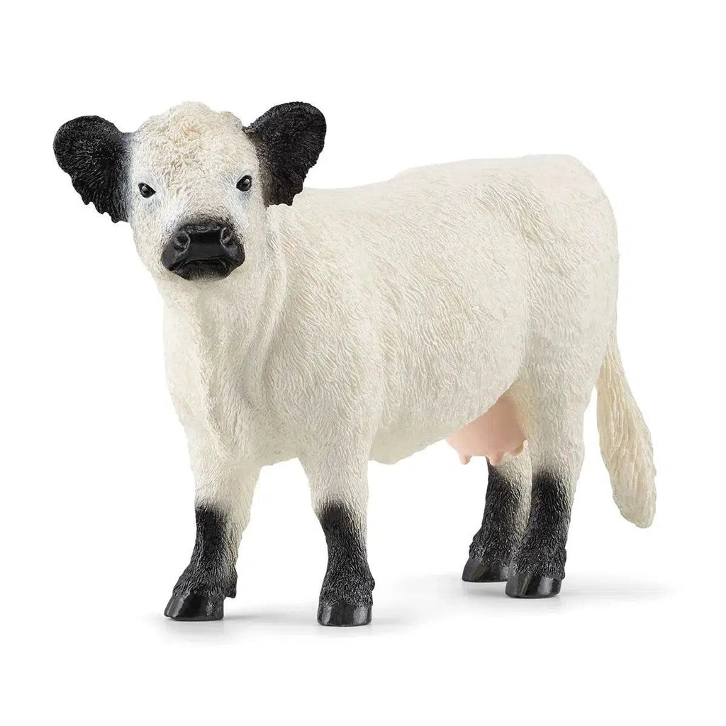 Image of the Galloway Cow figurine. It is a completely white cow except for black ears, nose, and hooves.