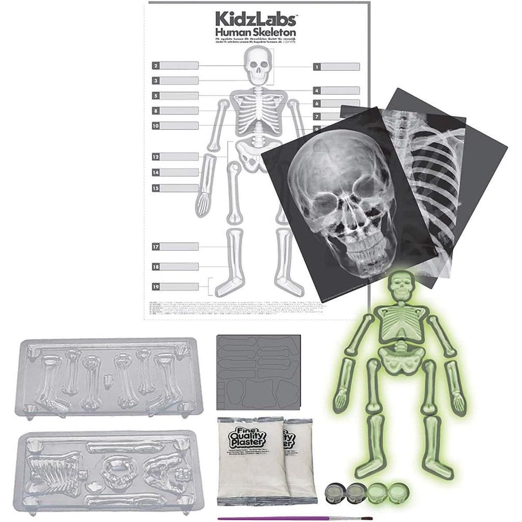 Shows all the included materials that are needed to create all the items in the science craft kit. It comes with a bone labeling sheet, skeleton molds, plaster, glow and the dark paint, and fake x-rays.