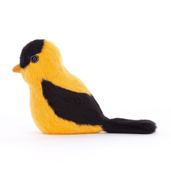 Goldfinch 4