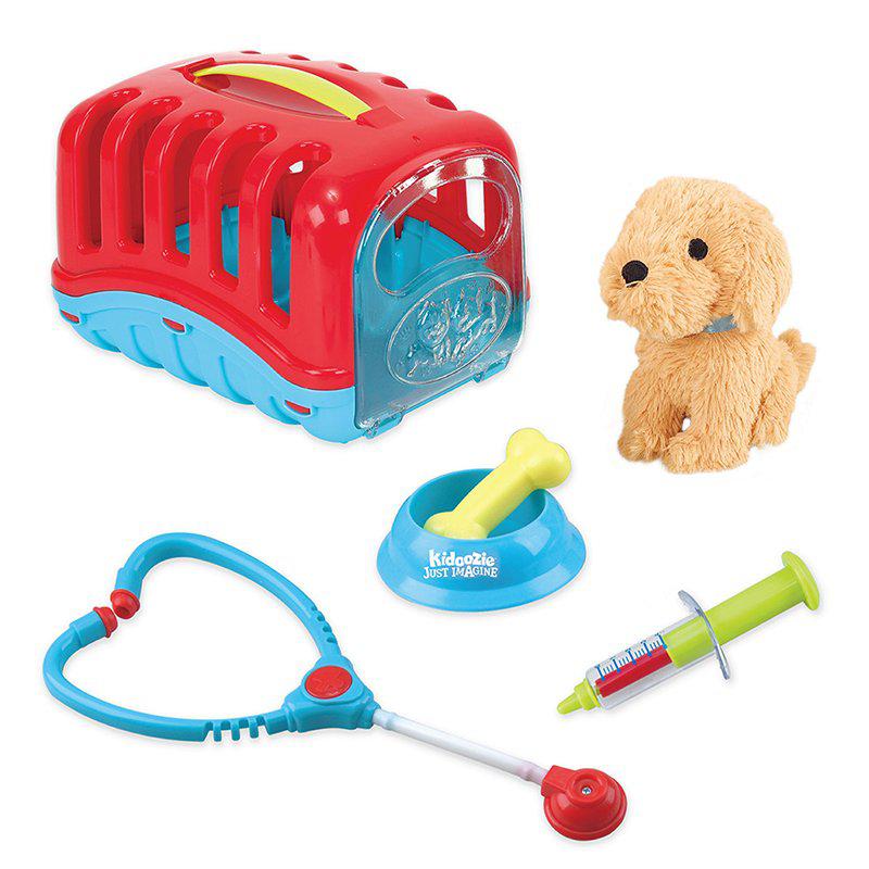 An image of the pet carrier, puppy, bowl and bone, syringe and stethoscope are on the picture.  