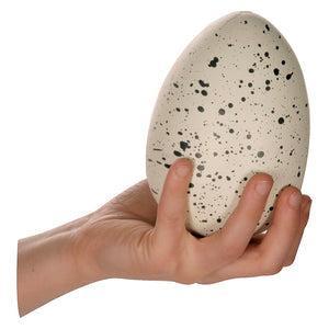 Grow Dino-Toysmith-The Red Balloon Toy Store