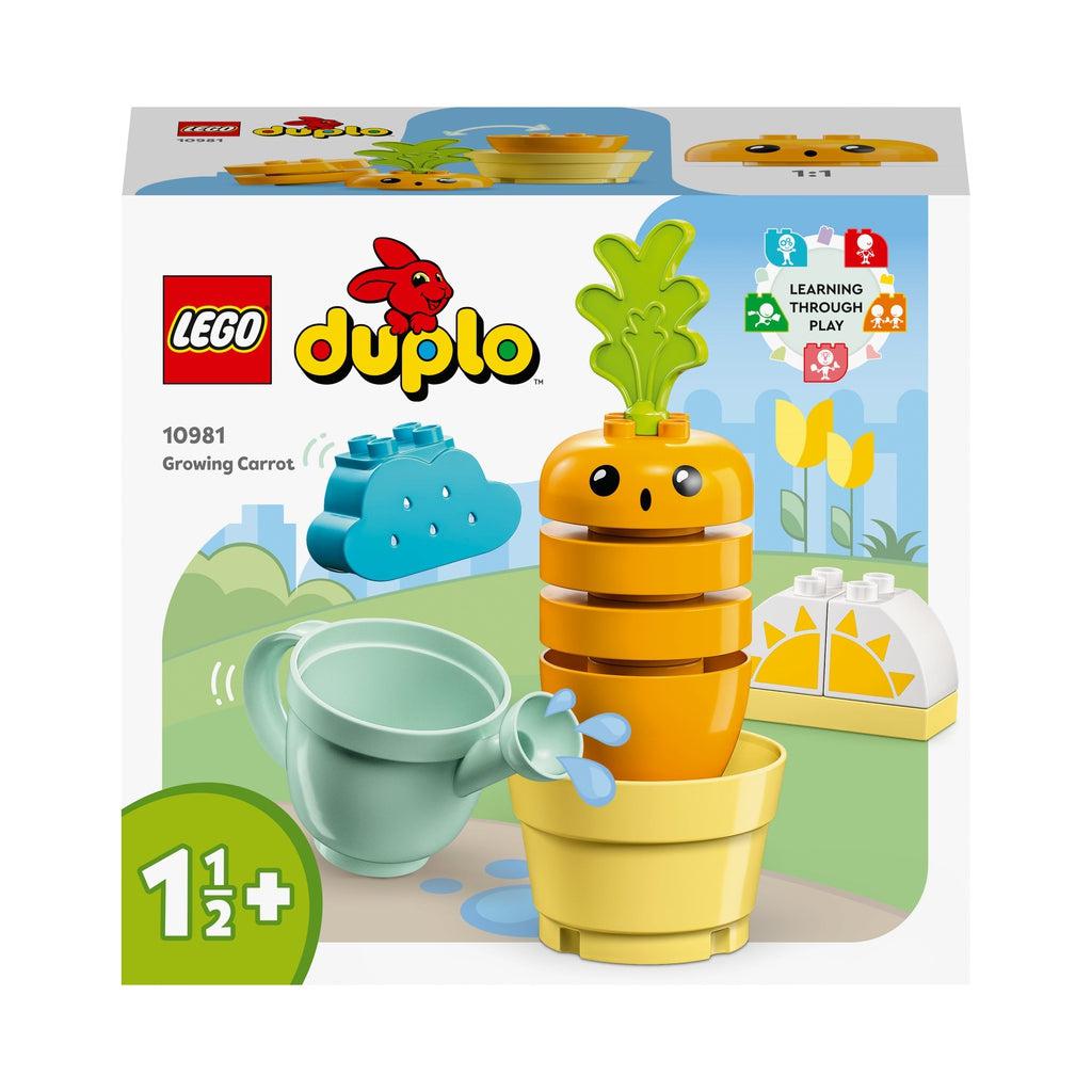 Image of the front of the box. It has a picture of the completely built LEGO Duplo playset.