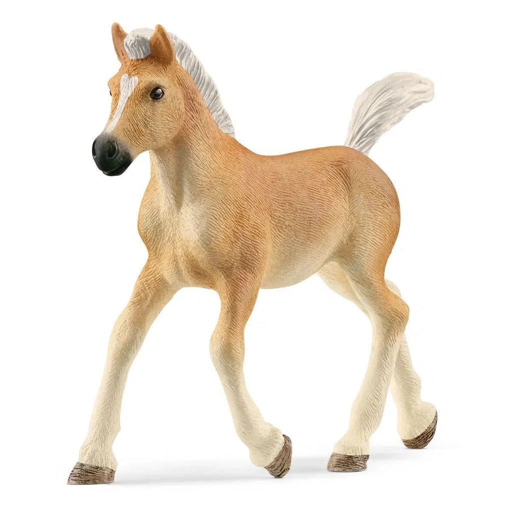 Image of the Halflinger Foal figurine. It is a honey colored horse with white mane, tail, and legs.