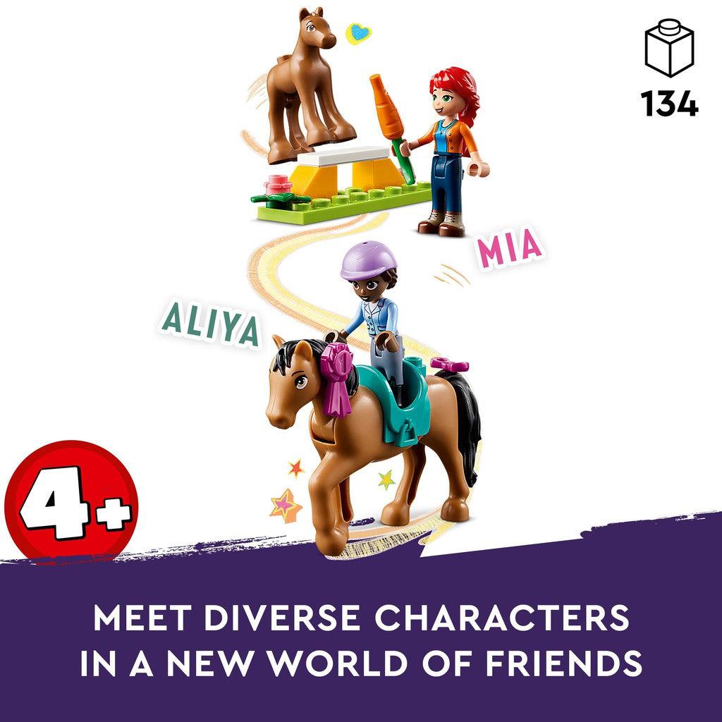 ages 4+ with 134 LEGO pieces. meet diverse characters in a new world of friends