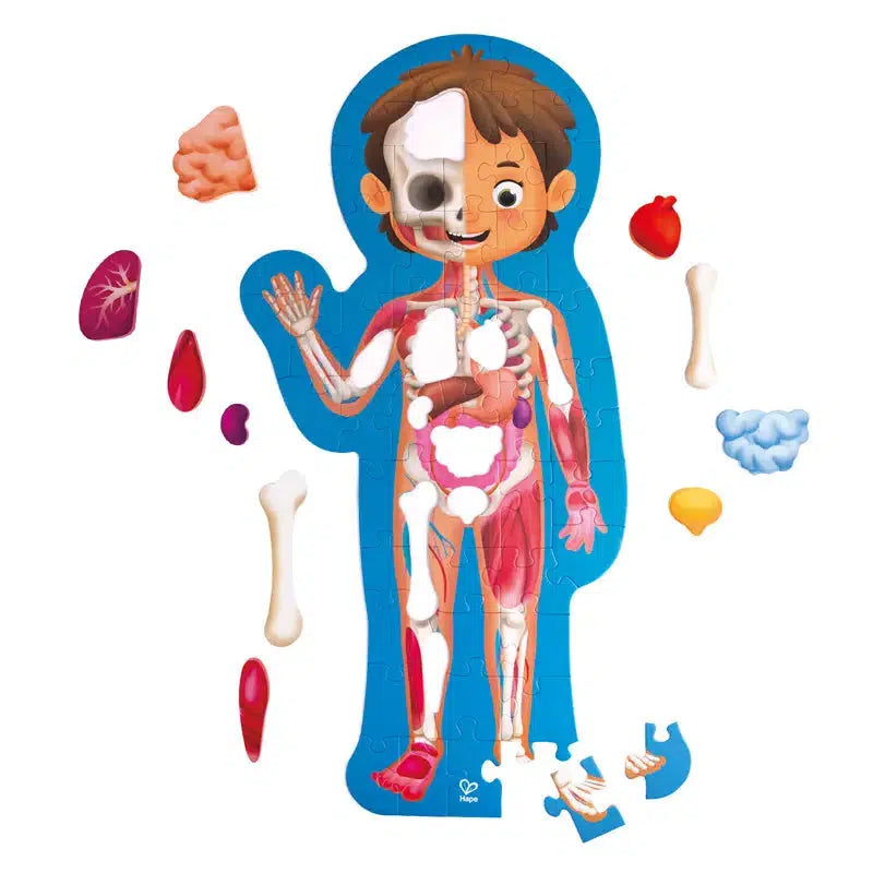 Human Body 60pc-HaPe International, Inc.-The Red Balloon Toy Store