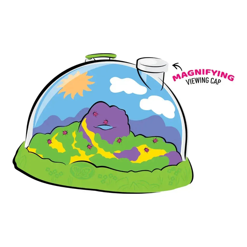 A dome-shaped terrarium with a small hill, green grass, purple rocks, a sun, clouds, and a magnifying viewing cap labeled “Ladybug Land” on top—perfect for observing Pink Spotted Ladybug Larvae in your ladybug kit.