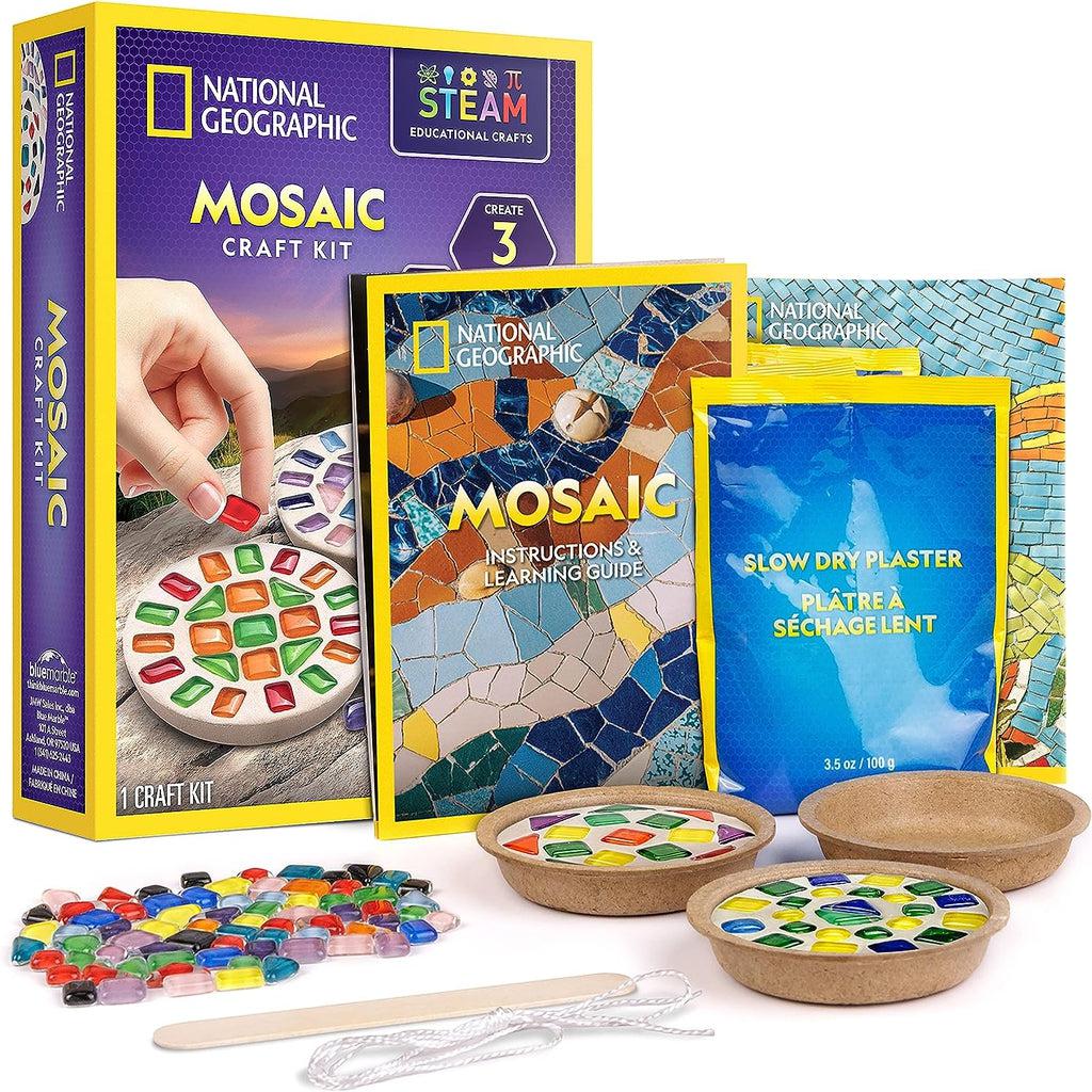 Mosaic Craft Kit - National Geographic – The Red Balloon Toy Store