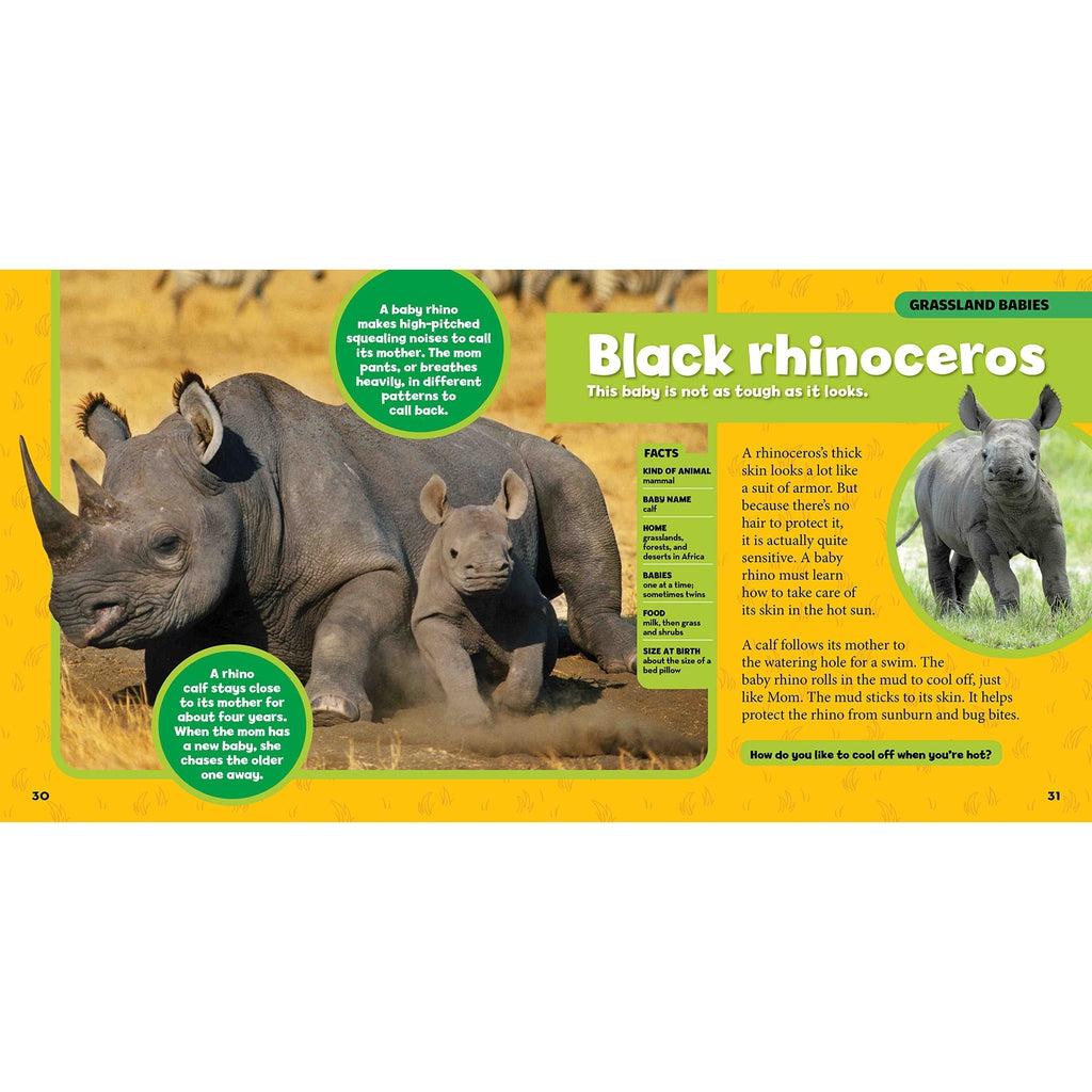 Example of one of the open pages in the book. This one focuses on the baby black rhinoceros.