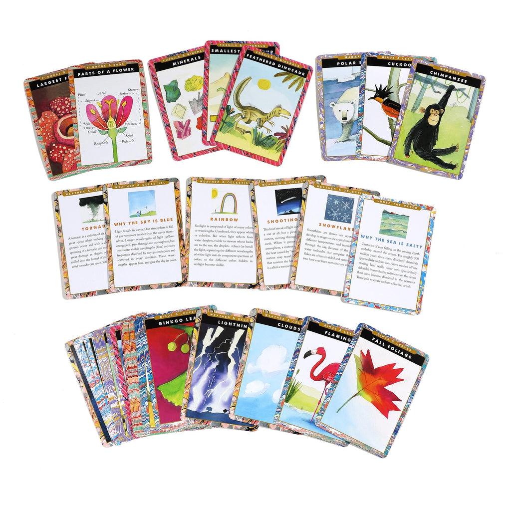 this image shows lots of cards, from dinos, to flowers, weather and animals to learn about