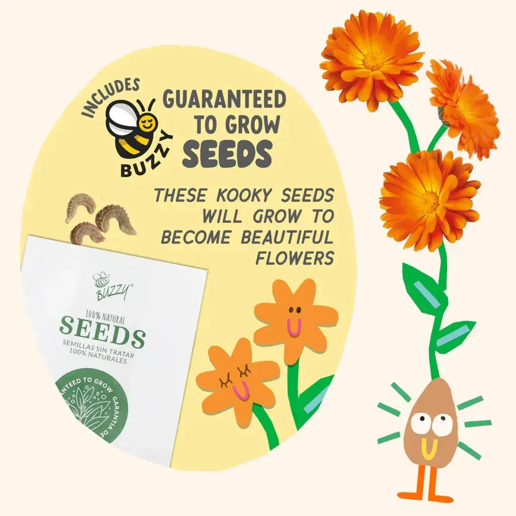 Paint & Grow Orange-Bright Stripes-The Red Balloon Toy Store