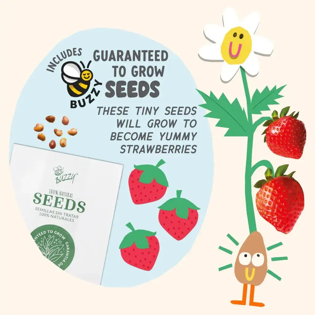 Paint & Grow Strawberry-Bright Stripes-The Red Balloon Toy Store