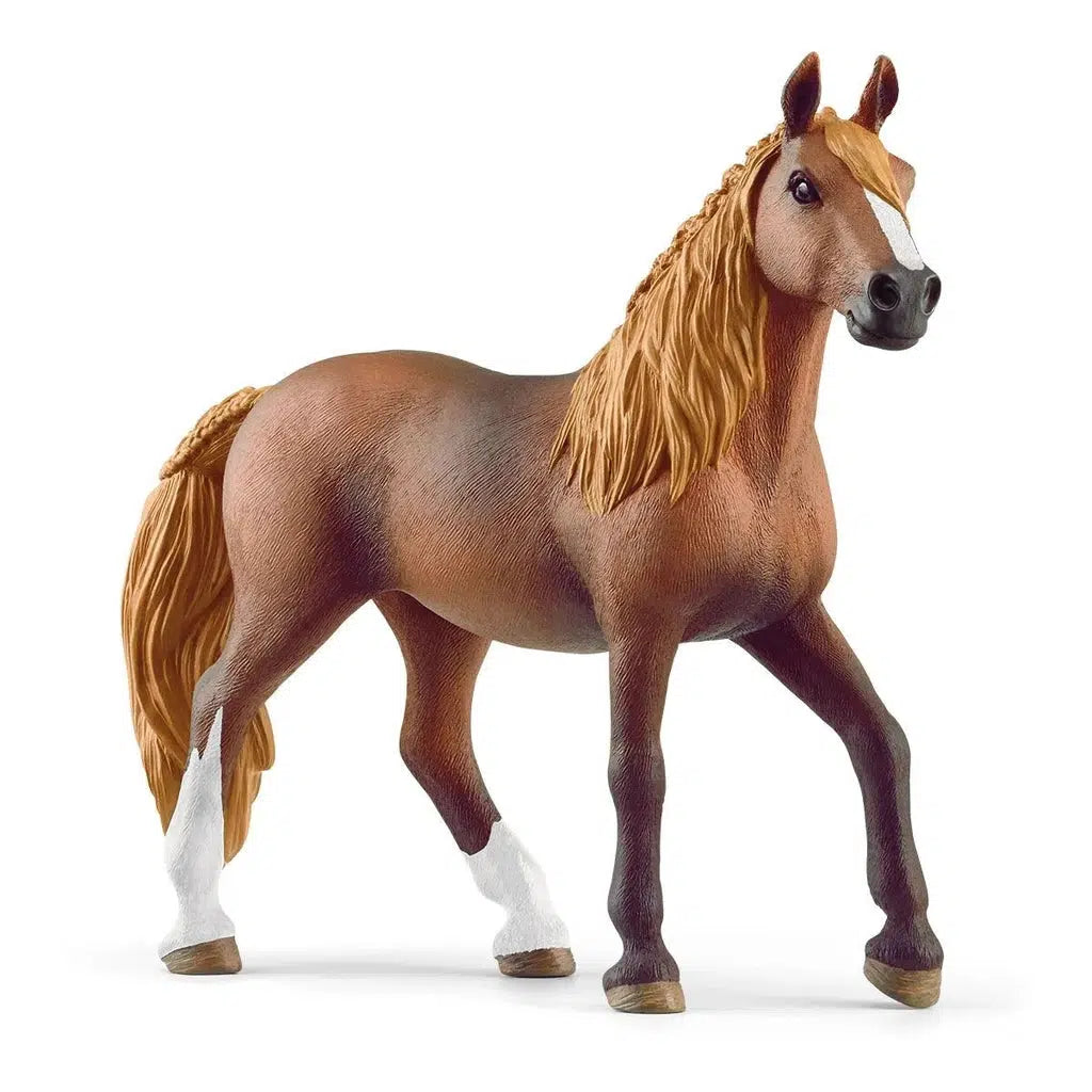 Image of the Paso Peruano Mare. It is a brown horse with two white legs and a white spot on her nose. Her mane and tail are orange blonde.
