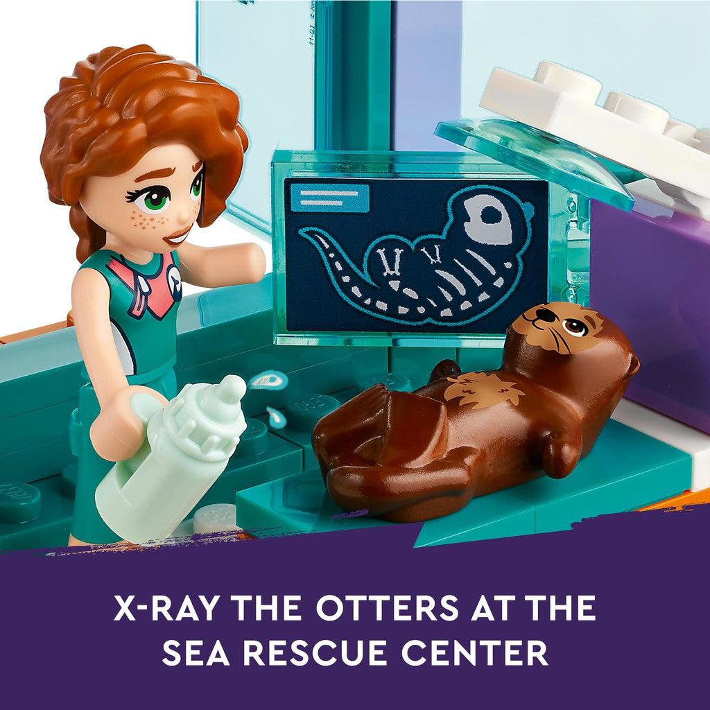 x-ray the otters at the sea rescue center