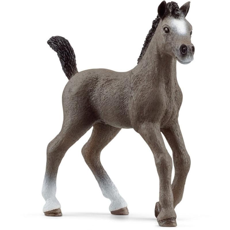 Image of the Selle Français Foal figurine. It is a grey horse with black tail and mane with partially white legs and nose.