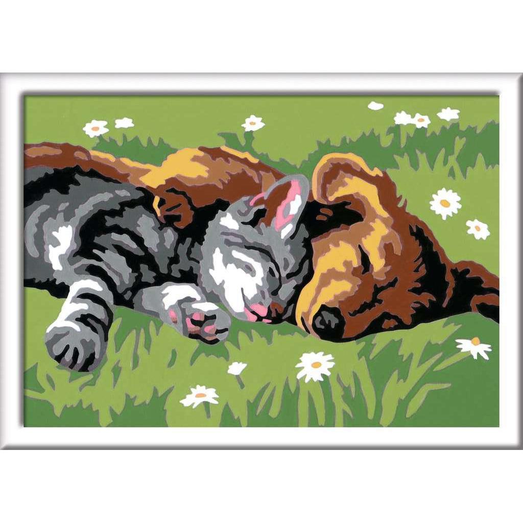 a finished look at the sleeping cat and dog, snuggled up and sleeping peacefully. an easy painting for a child to have plenty of fun with. 