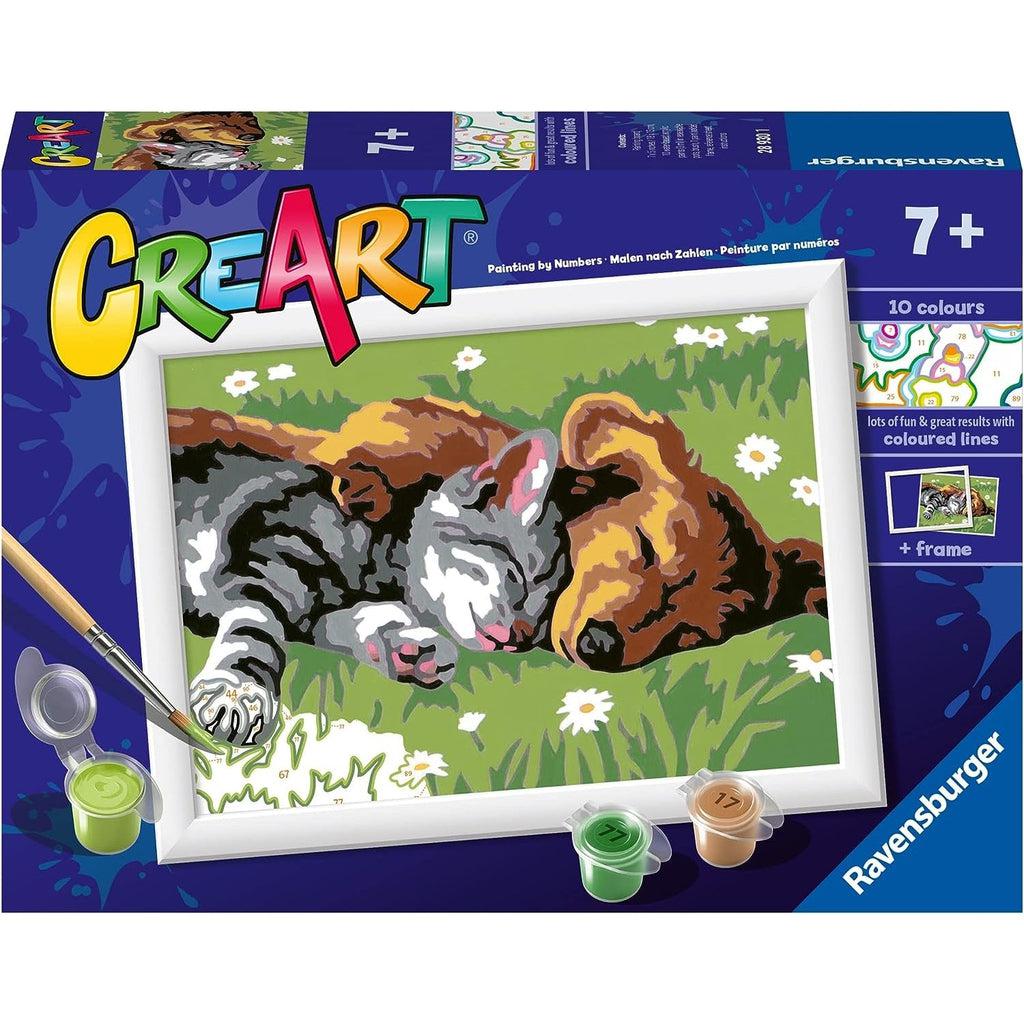This picture shows the box with the sleeping cat and dog. a picture frame is included as well as ten colors. the dog and cat are sleeping peacefully on a grassy dield with daisys. 