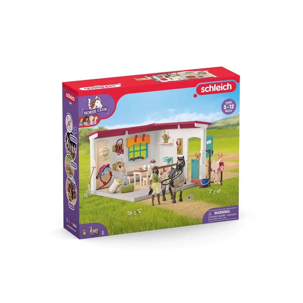 Front of the box shows the figurine and structure with a field as the background