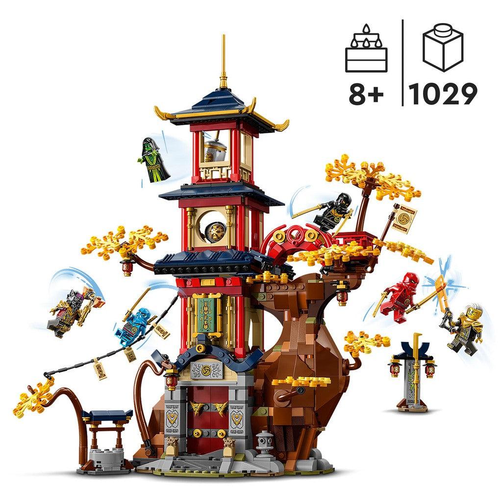for ages 8+ with 1029 LEGO pieces