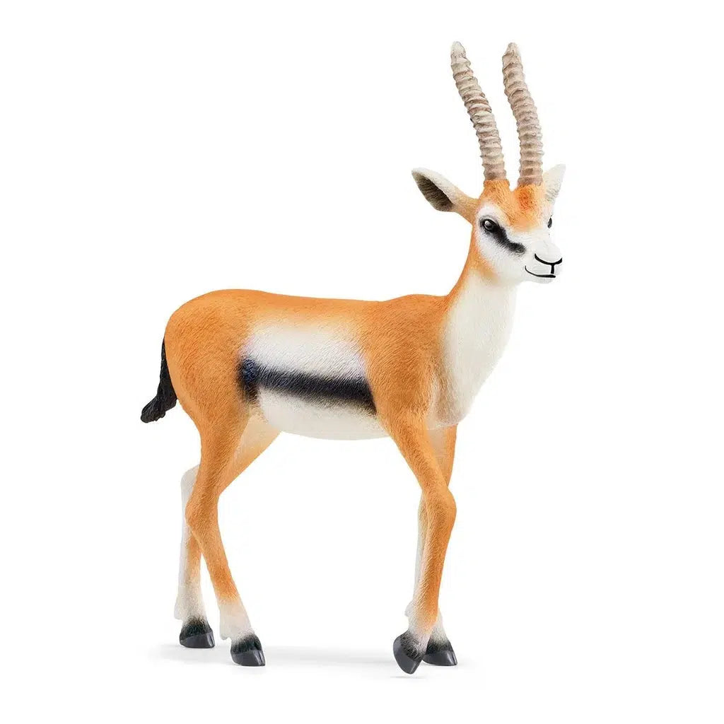 Image of the Thomson Gazelle figurine. It is a tan, white, and black colored animals with long twisting horns and a short tail.