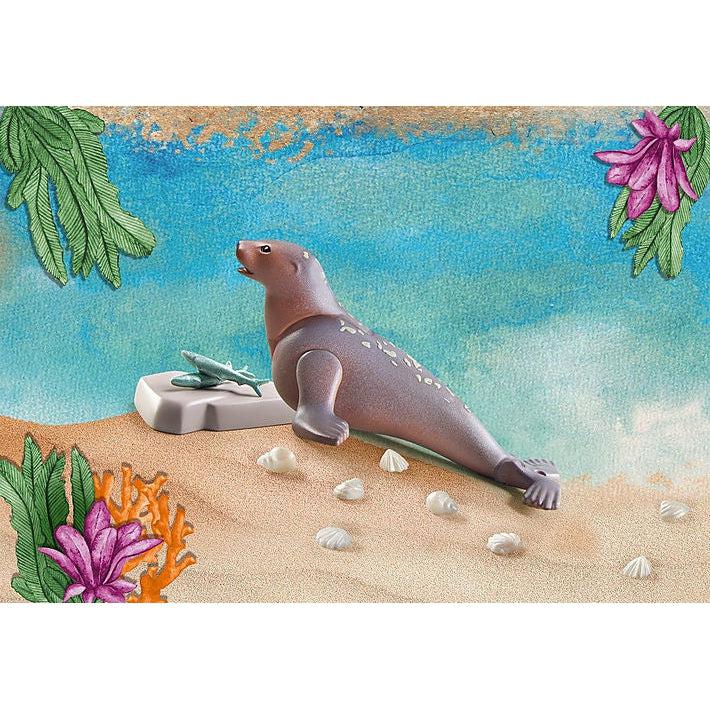Another picture of the sea lion with some rock props and fish to feed him. 