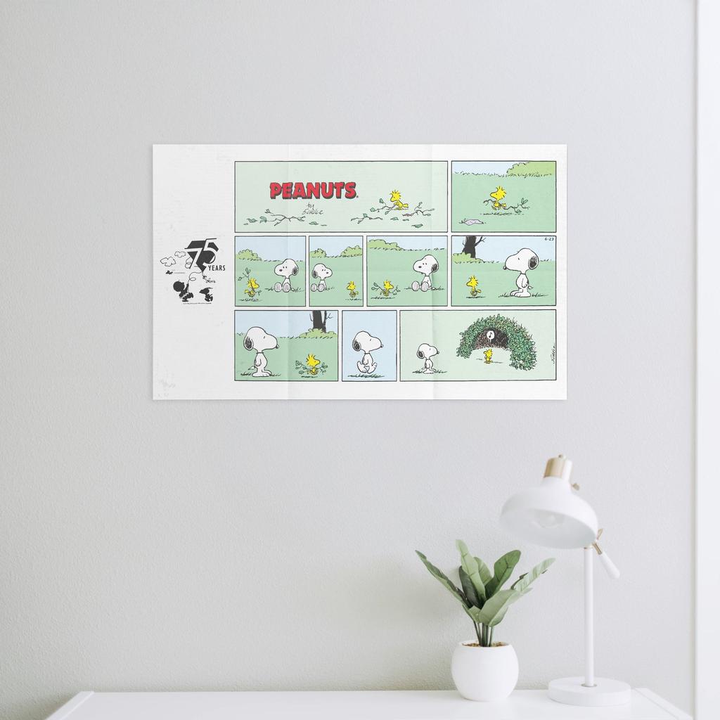 Woodstock - 275 pc-Plus-Plus-The Red Balloon Toy Store