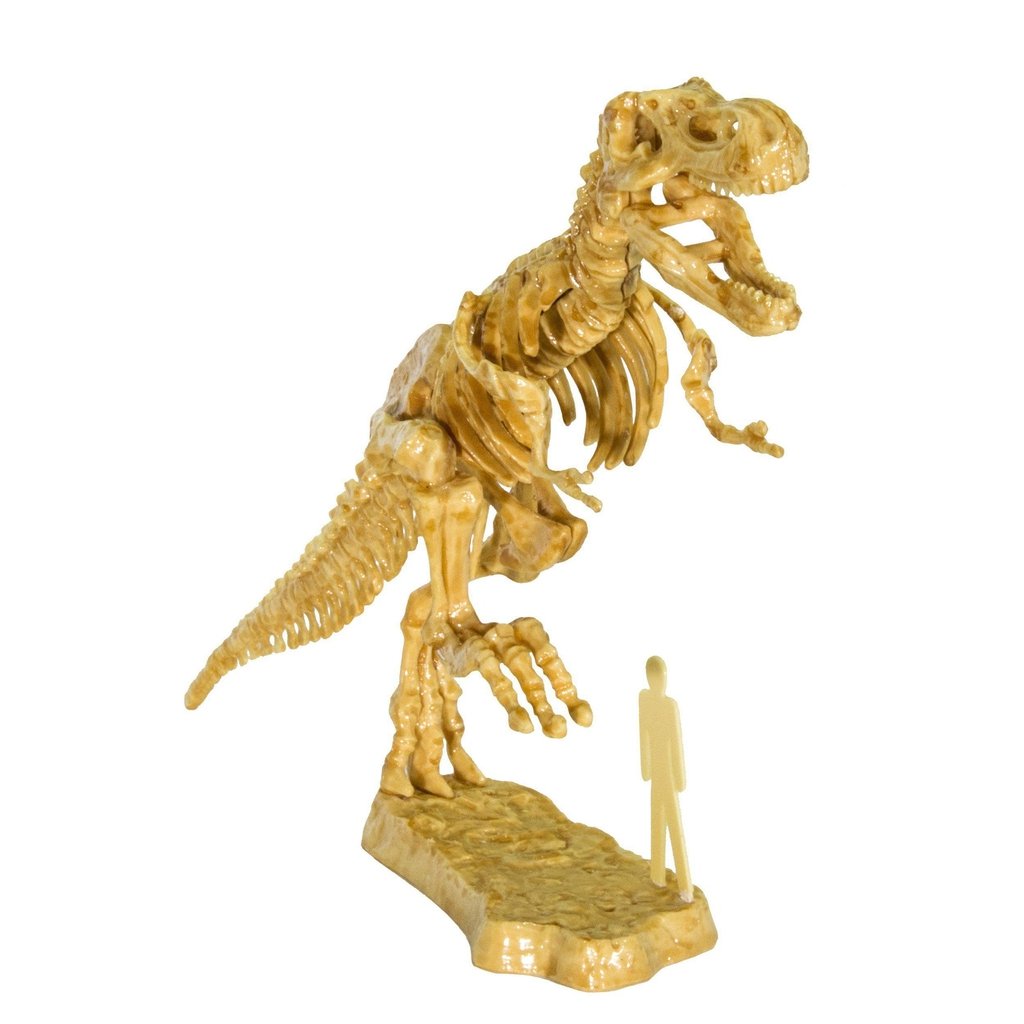 3D T. Rex Excavation Kit-Thames & Kosmos-The Red Balloon Toy Store