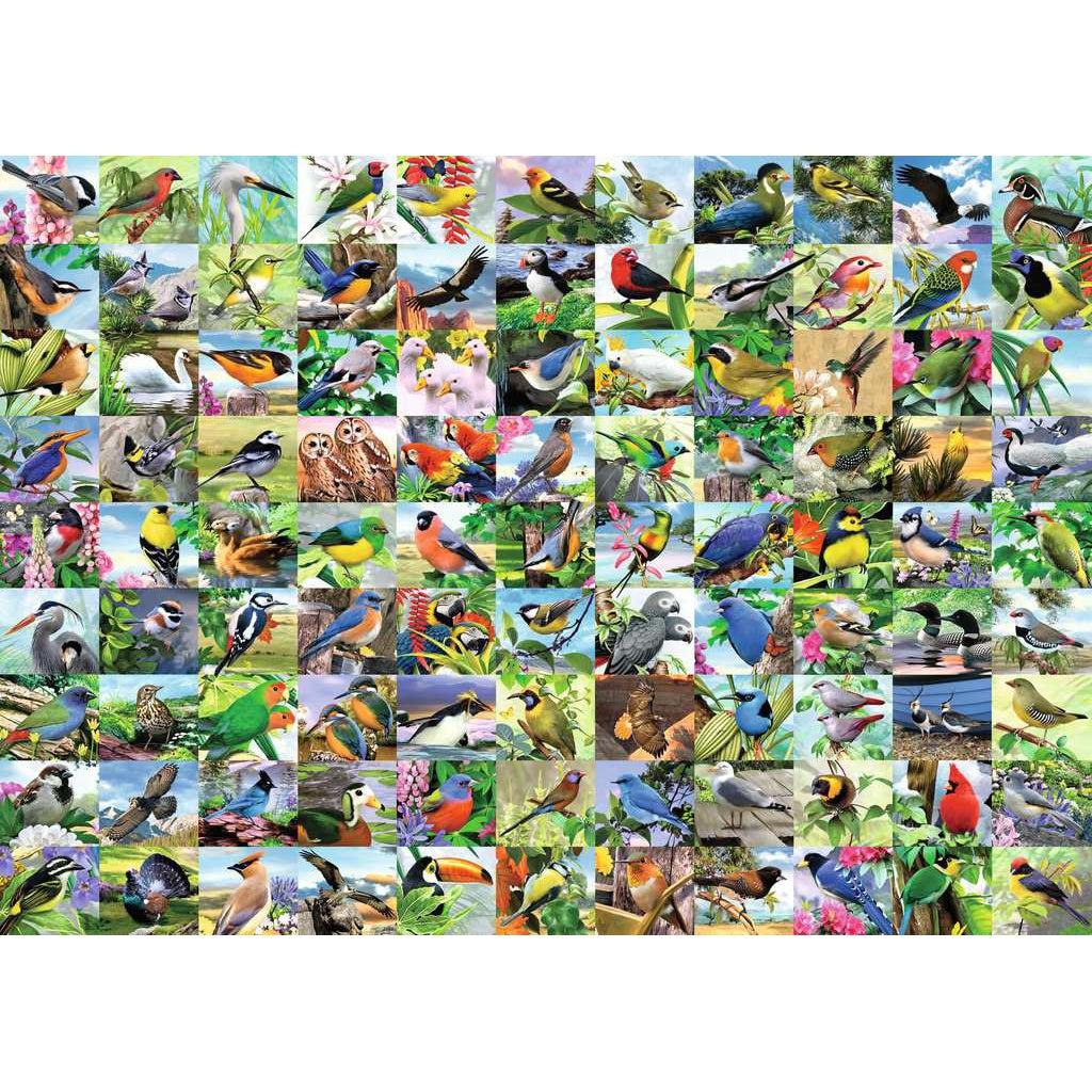 Image of puzzle | Image is made up of numerous, realistic illustrations of different birds