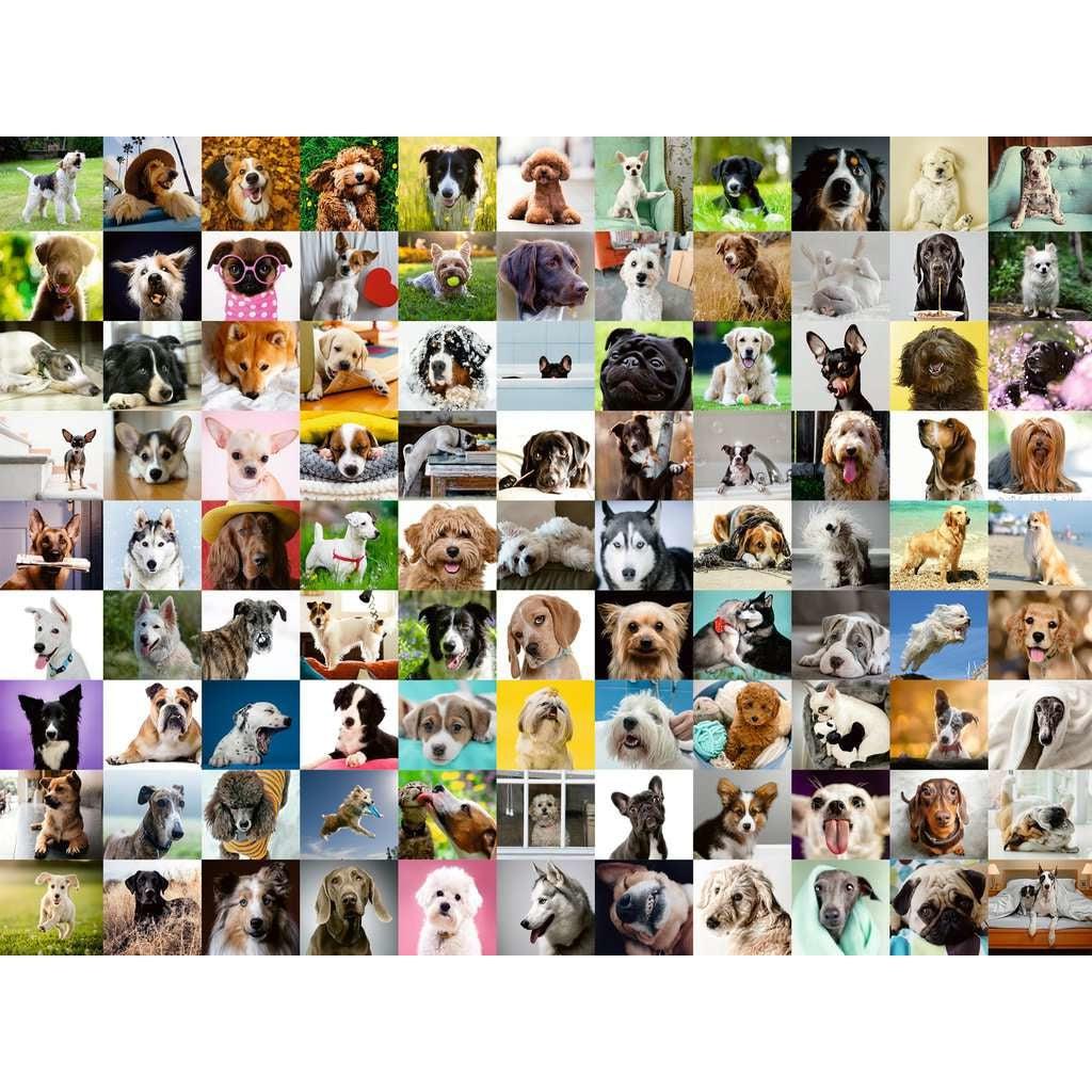 Image of puzzle | Collage with images of various dog breeds