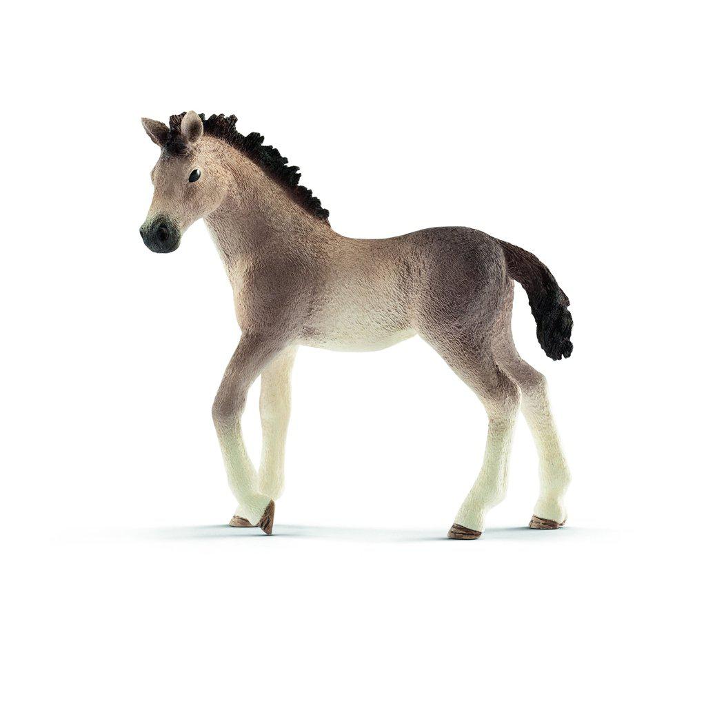 Andalusian Foal-Schleich-The Red Balloon Toy Store