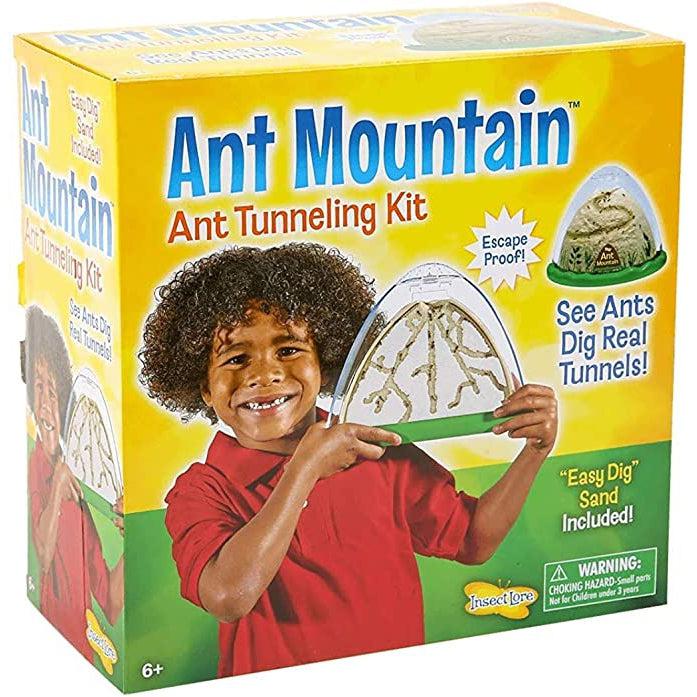 Toy in packaging | Front of box is yellow and green with a kid holding an ant farm and smiling. | Shows example ant colony in a small picture on the front with text "See ants dig real tunnels!"