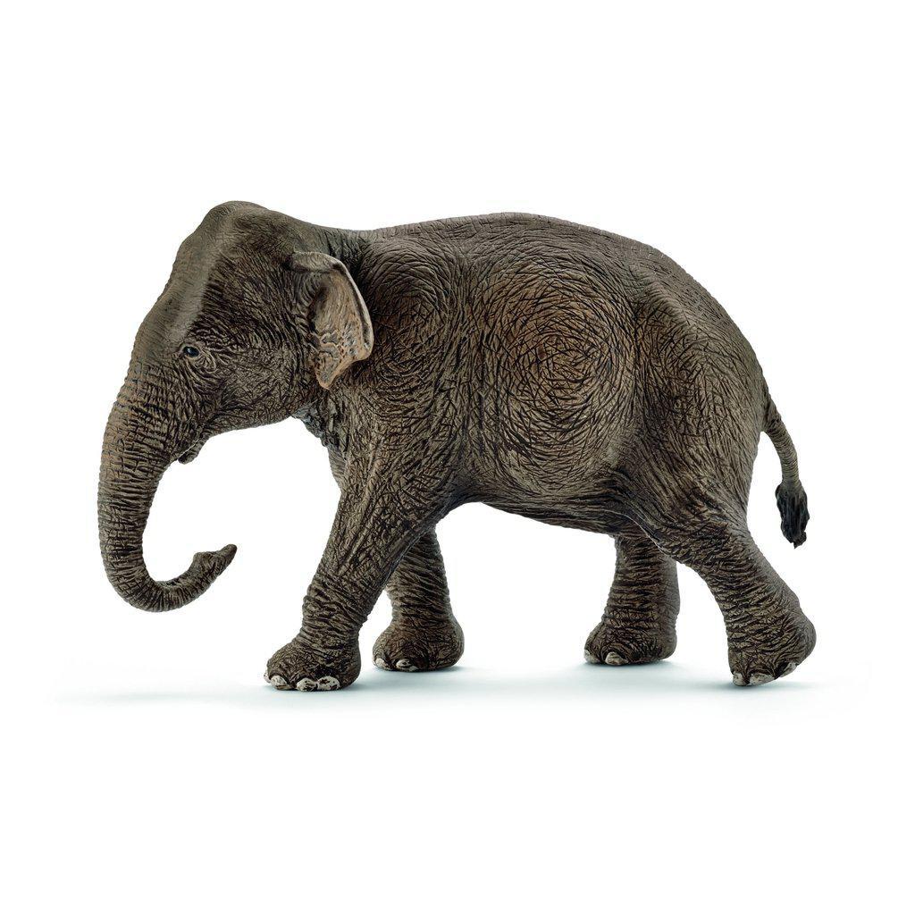 Asian Elephant, Female-Schleich-The Red Balloon Toy Store