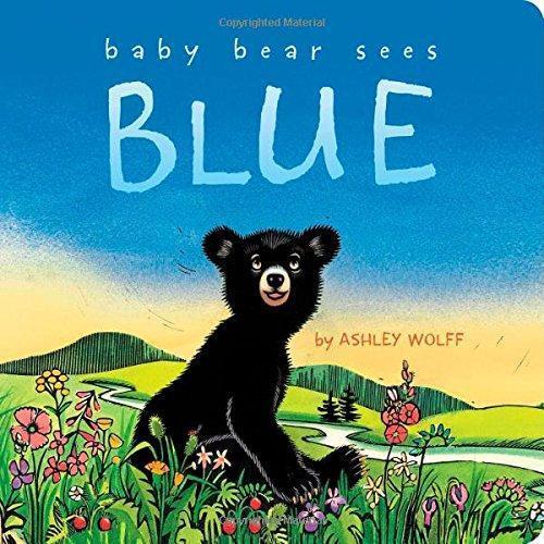 Baby Bear Sees Blue-Simon & Schuster-The Red Balloon Toy Store
