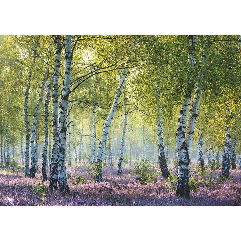 Puzzle image | Tranquil forest scene | Birch trees scatter the scene near and far while small purple flowers cover the entire forest floor | Sunlight streams in through the leaves of the trees casting light and shadow on the flowers.