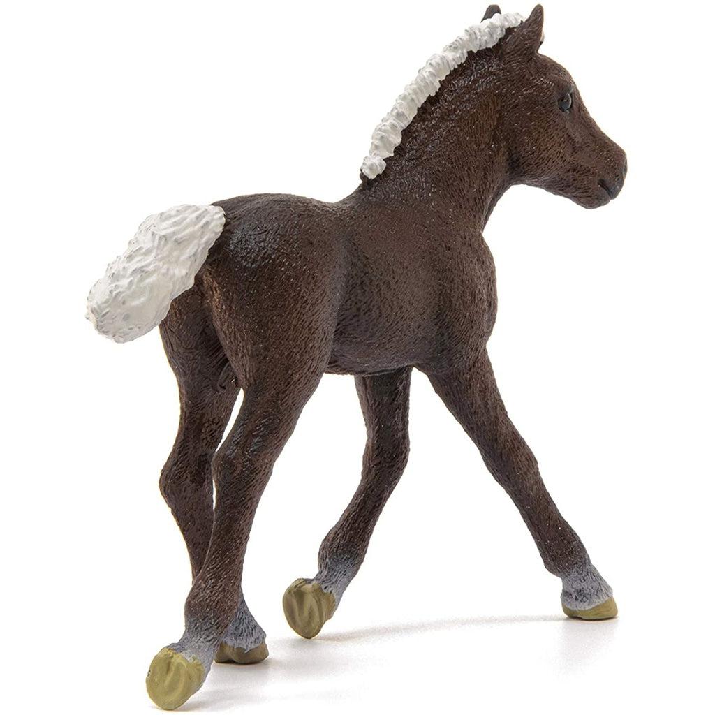 Black Forest Foal-Schleich-The Red Balloon Toy Store